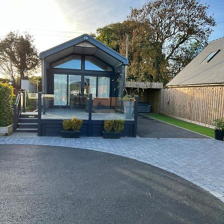 The Pods At Haulfryn Caravan Park Whitford Exteriör bild